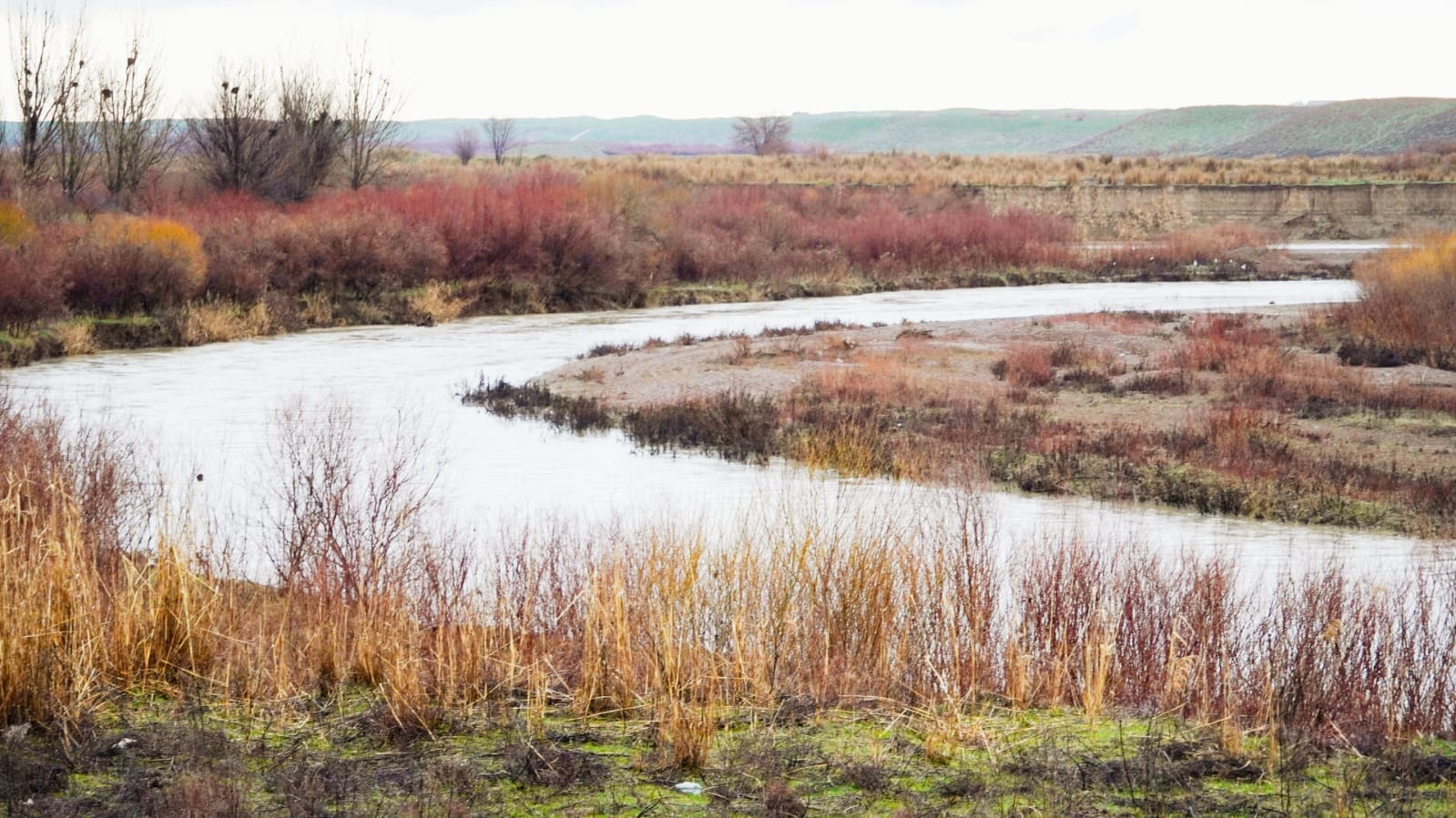 КЕЛЕС: ИРРИГАЦИЯЛЫҚ ЖҮЙЕЛЕР МЕН ӨЗЕН АРНАЛАРЫ ЖІТІ ҚАДАҒАЛАНУДА