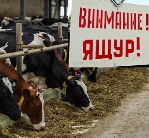 Памятка  населению  по  профилактике  ЯЩУРА.