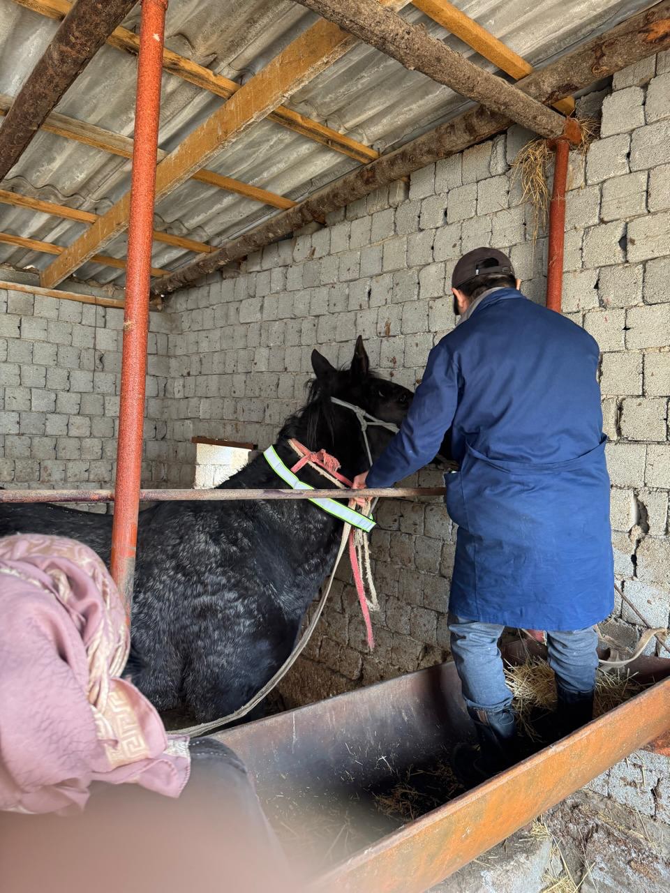 ЖОЛ-КӨЛІК ОҚИҒАЛАРЫНЫҢ АЛДЫН АЛУ БАҒЫТЫНДАҒЫ ЖҰМЫСТАР ЖҮРГІЗІЛУДЕ