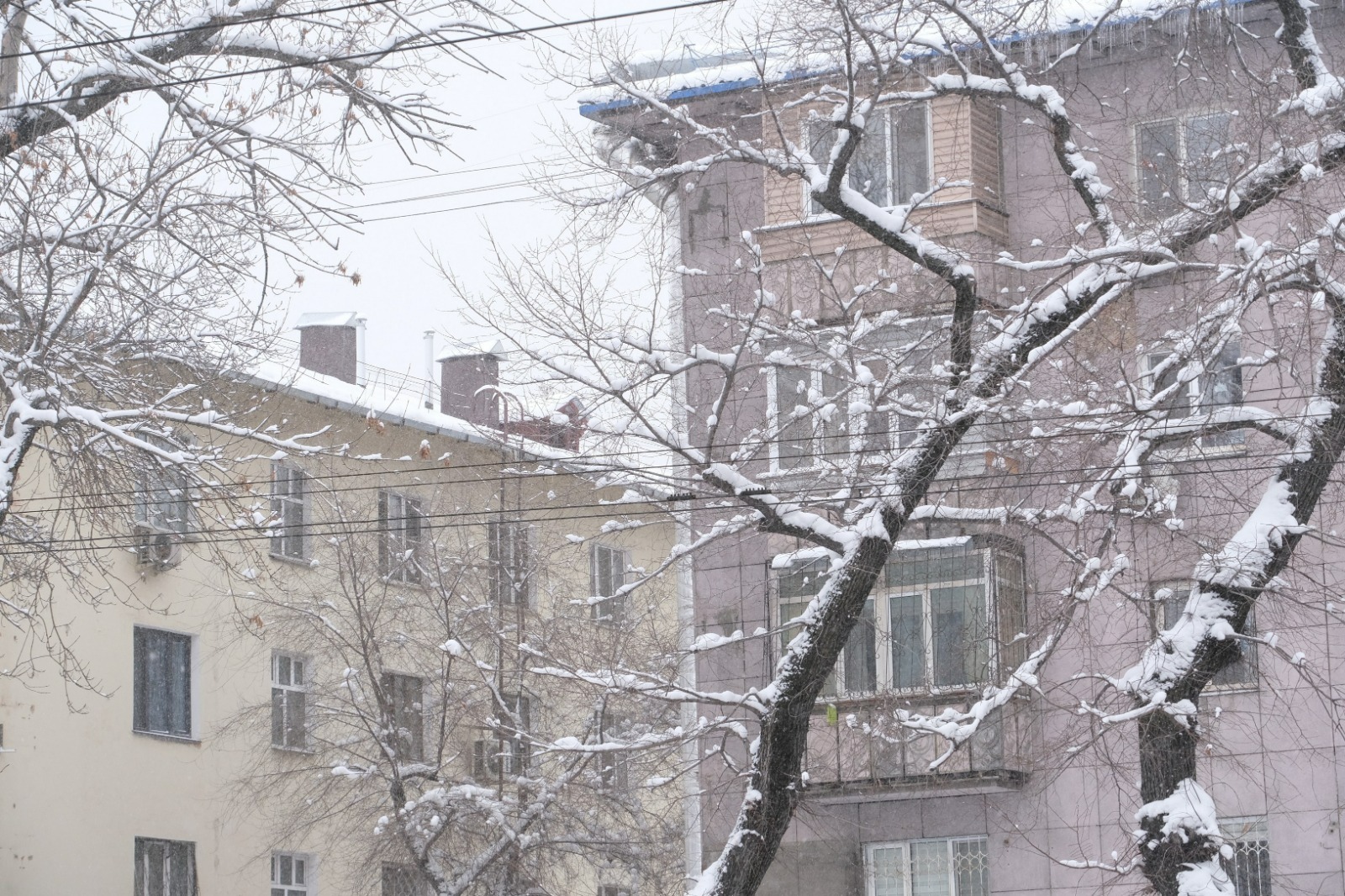 Алматыда мұз бен қарды уақтылы тазалаудың жауапкершілігі ескертілді