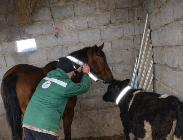 Құрметті Шардара ауданы тұрғындары!