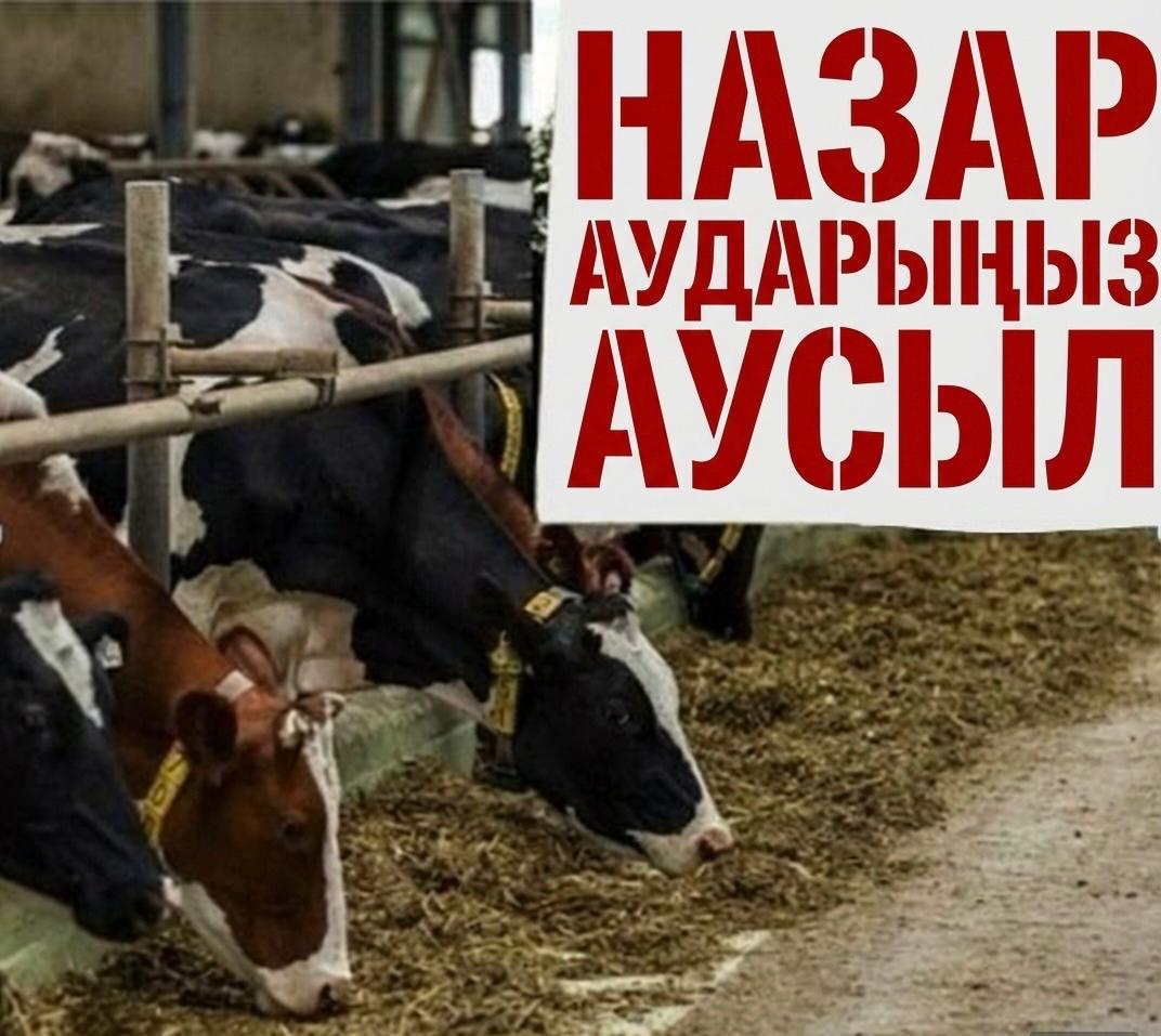 АУСЫЛ  АУРУЫНЫҢ  алдын  алу  бойынша  халыққа  жаднама.