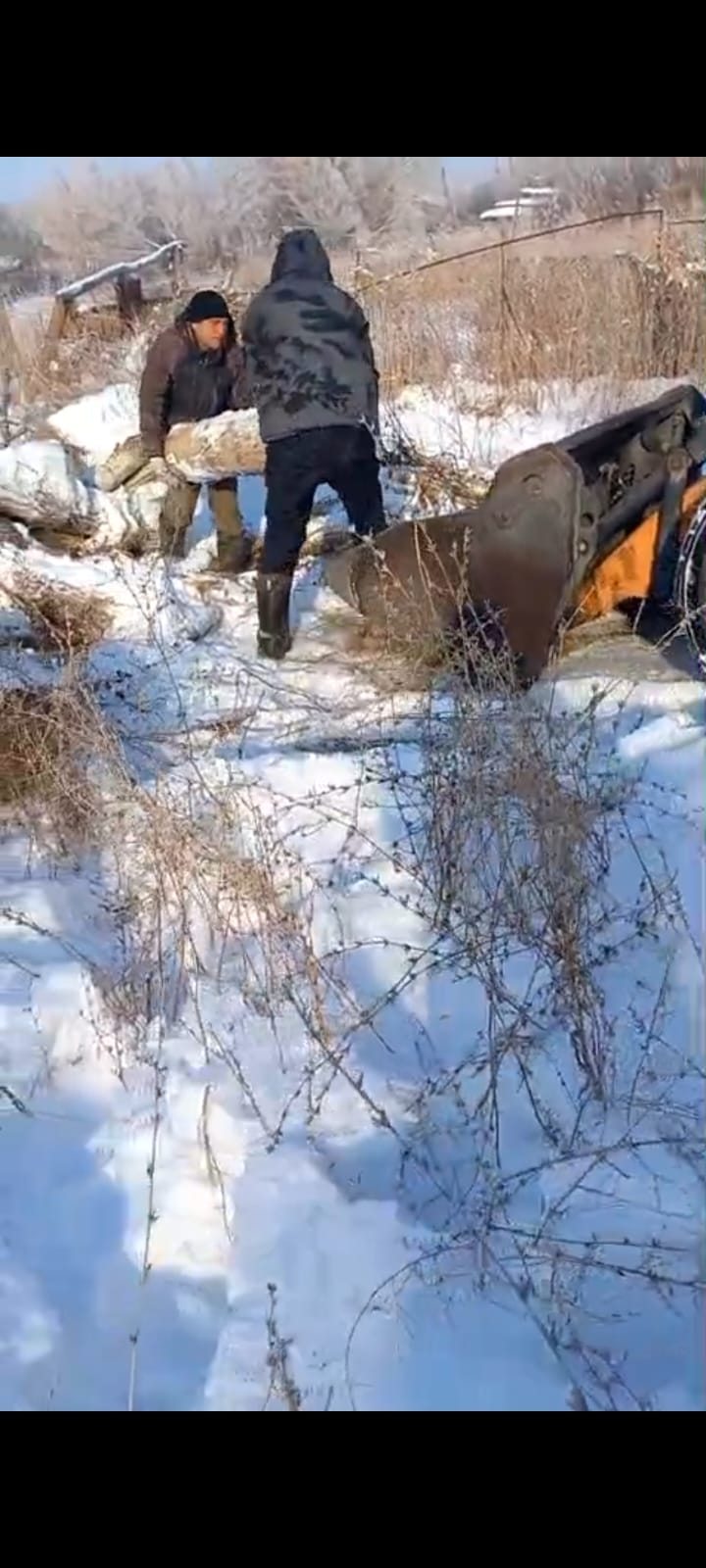 Социальная сфера