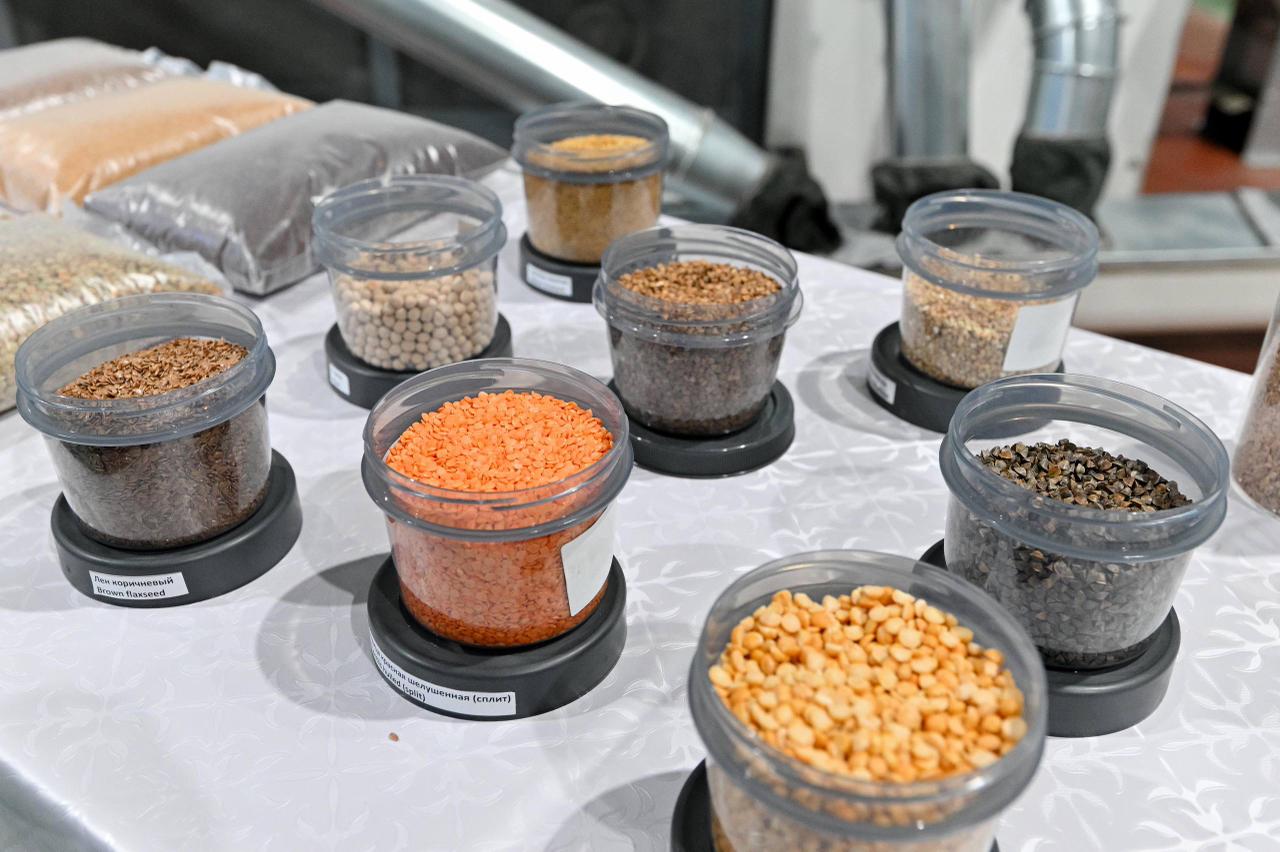 Завод по переработке бобовых и масличных культур запустили в области Абай