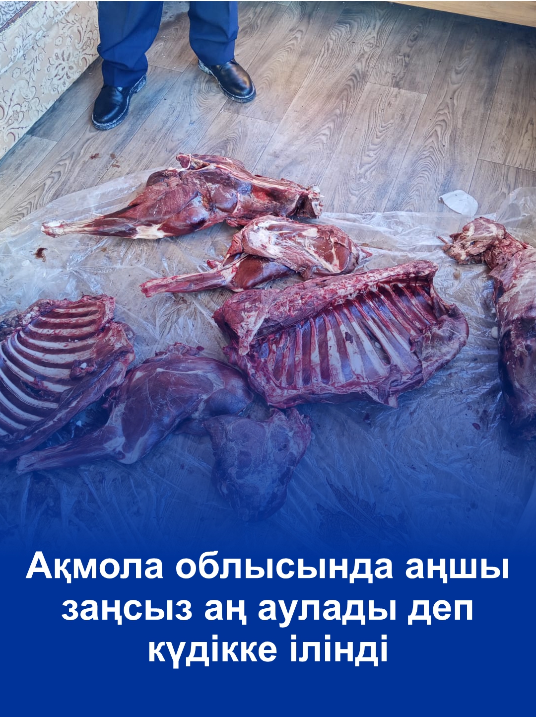 Старший егерь подозревается в незаконной охоте в Акмолинской области