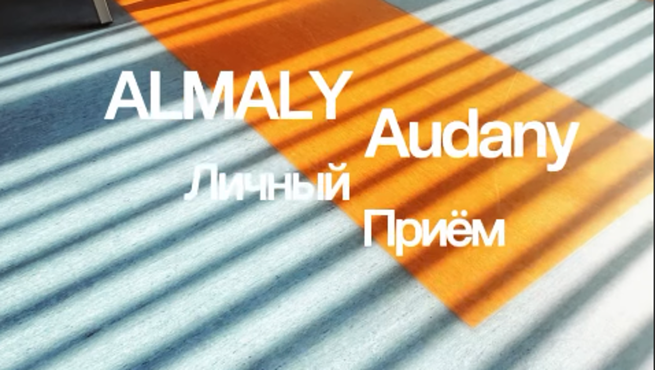 Әкімнің жеке қабылдауы