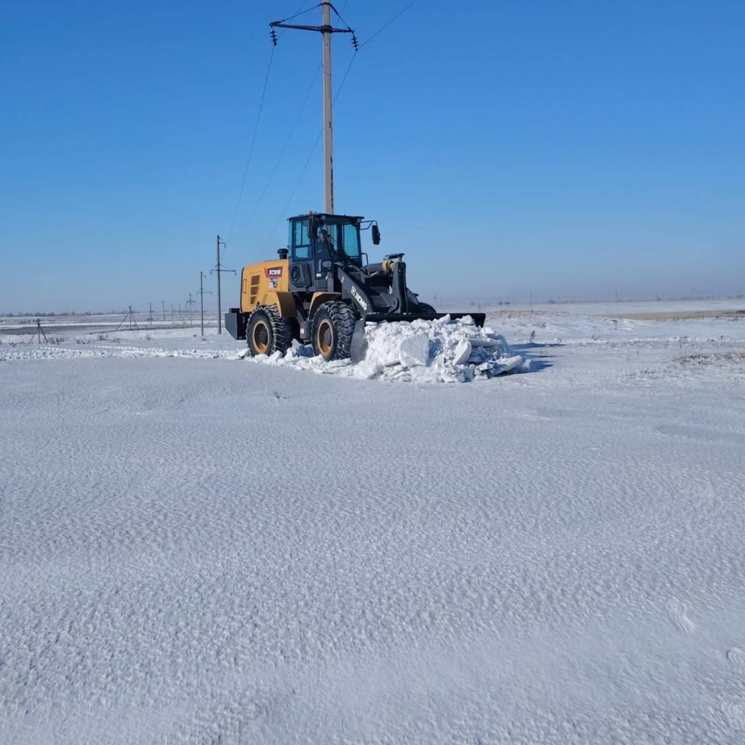 Ертіс, Жиенәлі, Ақбұлақ және Айнабұлақ ауылдық округітерінде орналасқан мал қорымдарының аумағын қардан тазарту жұмыстары жүргізілді