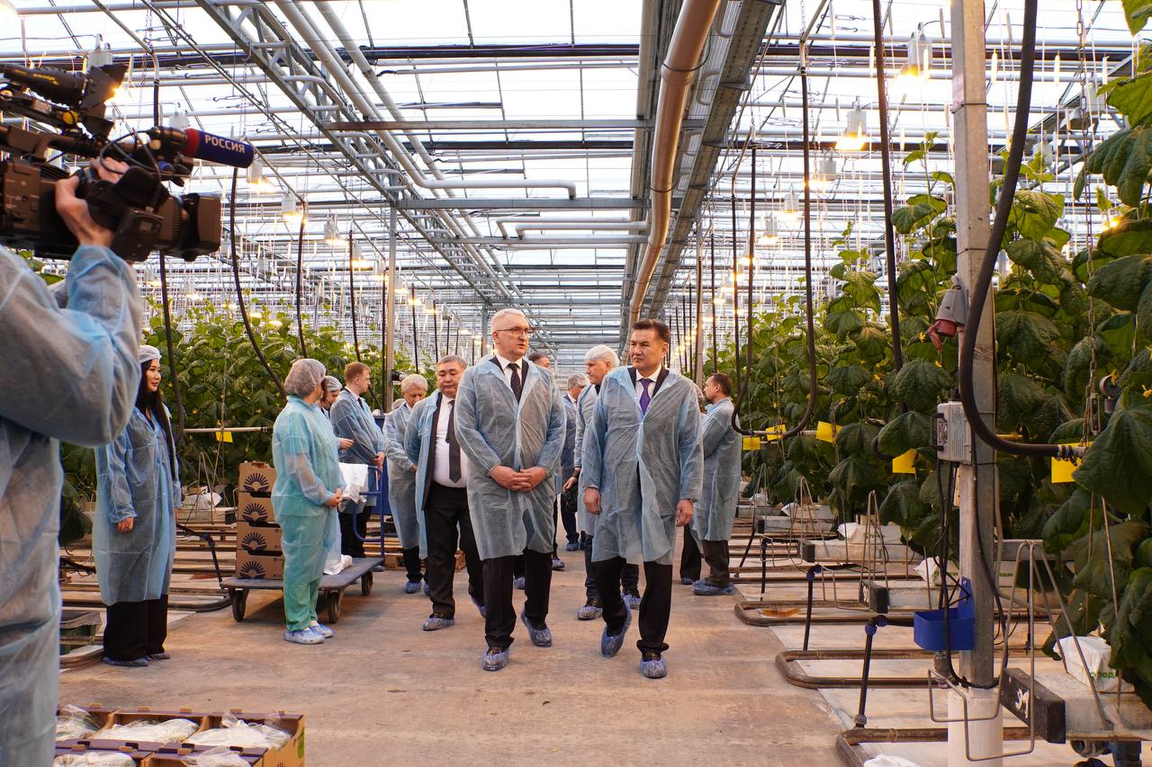 ШҚО делегациясы Барнаулдағы ірі жылыжай жұмысымен танысты