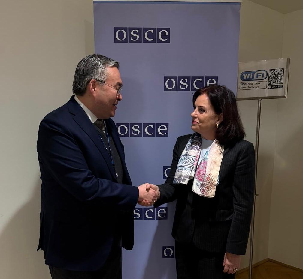 В Вене обсудили конституционные реформы в Казахстане