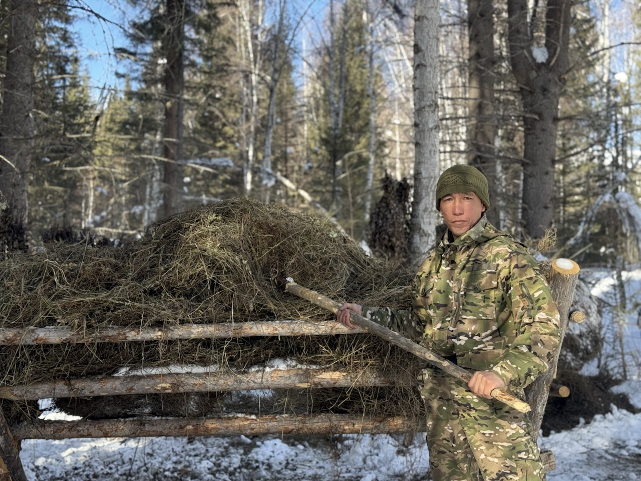 Забота о дикой природе зимой
