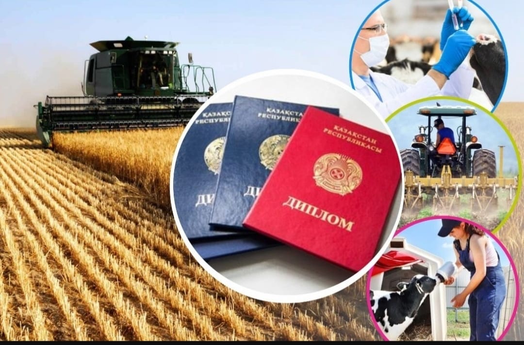 В КЕЛЕСЕ ПРОДОЛЖАЕТСЯ РАБОТА ПО ПРИВЛЕЧЕНИЮ СПЕЦИАЛИСТОВ В СЕЛЬСКИЕ НАСЕЛЕННЫЕ ПУНКТЫ