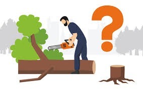 «АҒАШТАРДЫ КЕСУГЕ РҰҚСАТ БЕРУ» МЕМЛЕКЕТТІК ҚЫЗМЕТІ