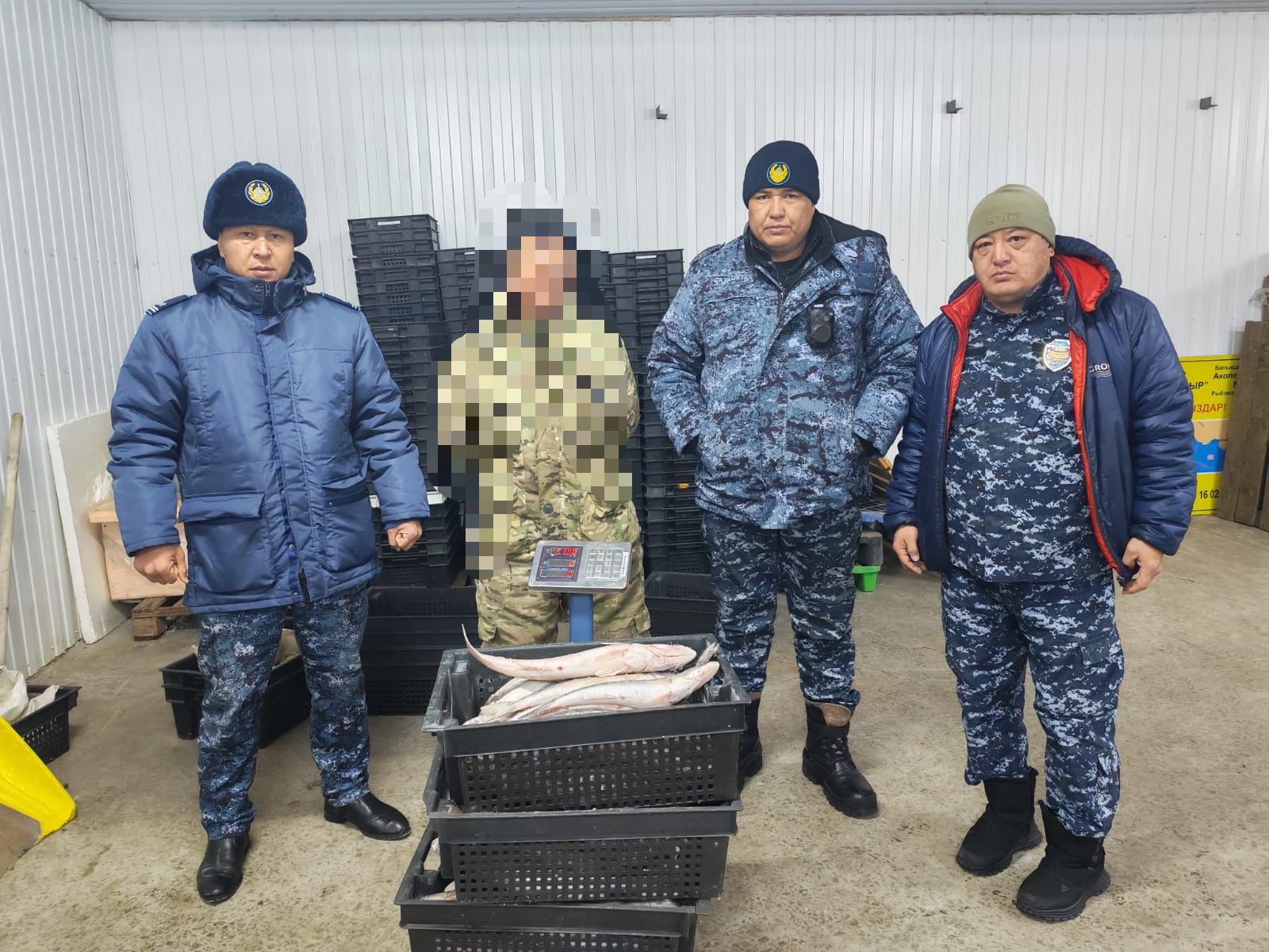 Заңсыз балық аулау — экожүйеге қауіп: Жетісу облысында браконьерлік дерегі анықталды