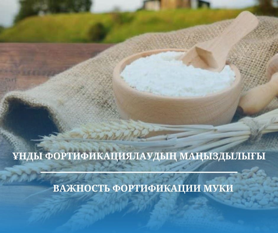 Ұнды фортификациялау – теміртапшылық анемиясын алдын алудың тиімді және қолжетімді шарасы