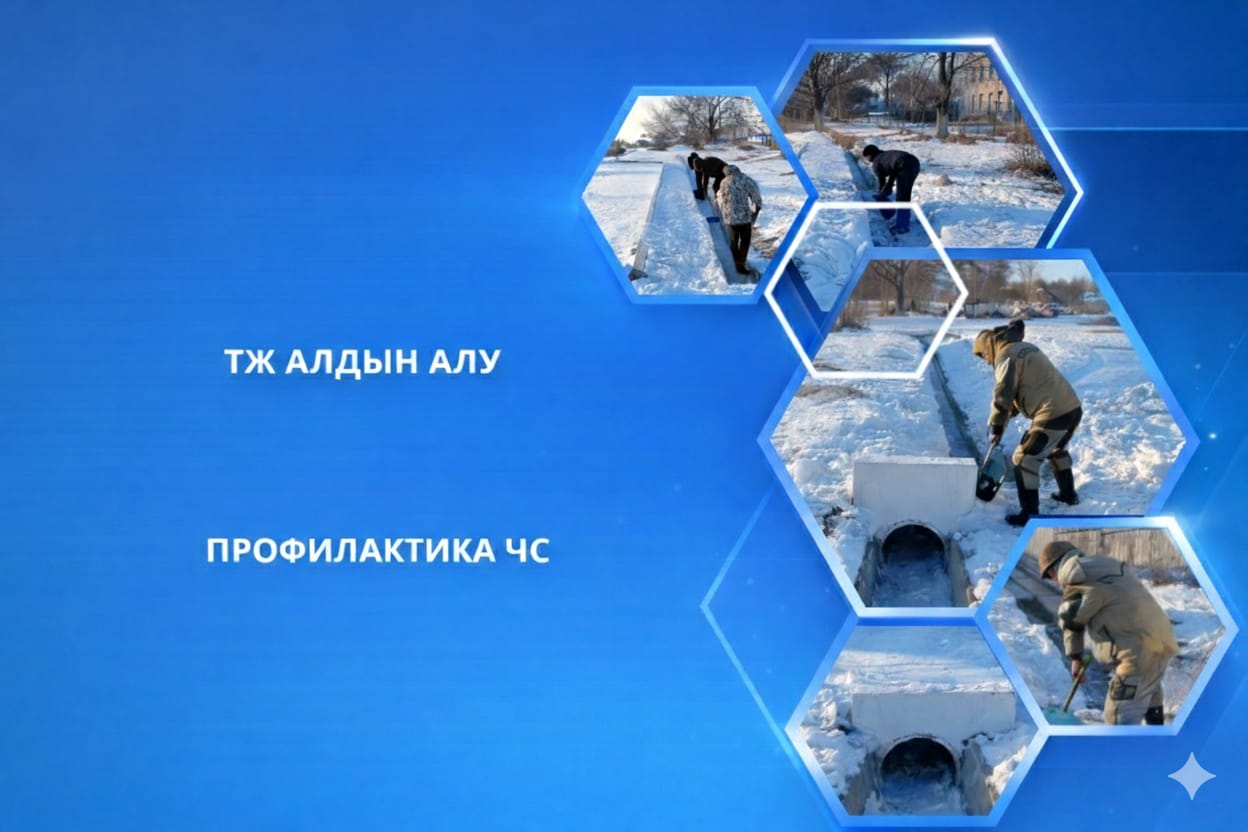 ТЖ Алдын алу