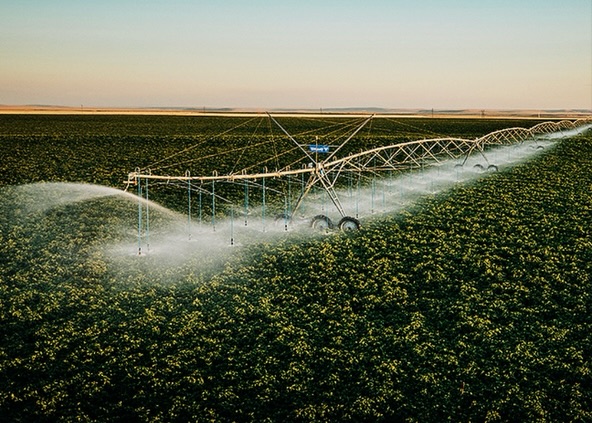 В КЕЛЕСЕ АГРОСАЛА ПЕРЕЖИВАЕТ ВОЗРОЖДЕНИЕ: ВНЕДРЯЕТСЯ СОВРЕМЕННАЯ ИРРИГАЦИОННАЯ СИСТЕМА