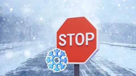 Республикалық және облыстық маңызы бар автомобиль жолдарының жағдайы