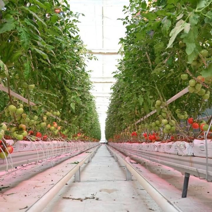 В ШЫМКЕНТЕ РЕАЛИЗОВАНО 18 ИНВЕСТИЦИОННЫХ ПРОЕКТОВ