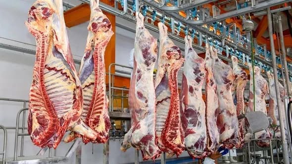 Чтобы оставаться здоровым и избежать болезней, необходимо уделять особое внимание транспортировке животных и пищевых продуктов животного происхождения с ветеринарными сопроводительными документами.