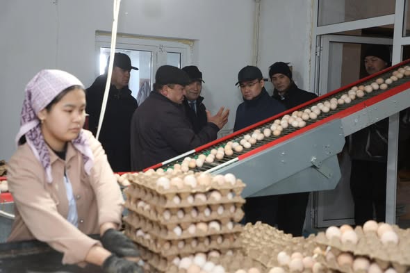 Жаңалық