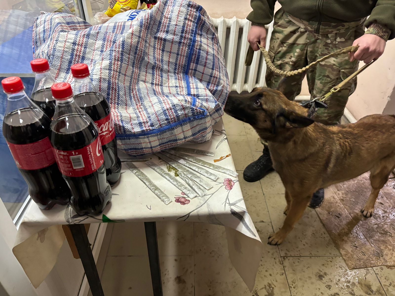 Қызылордада сотталған азаматқа сөмке бауына жасырып есірткі өткізбек болды