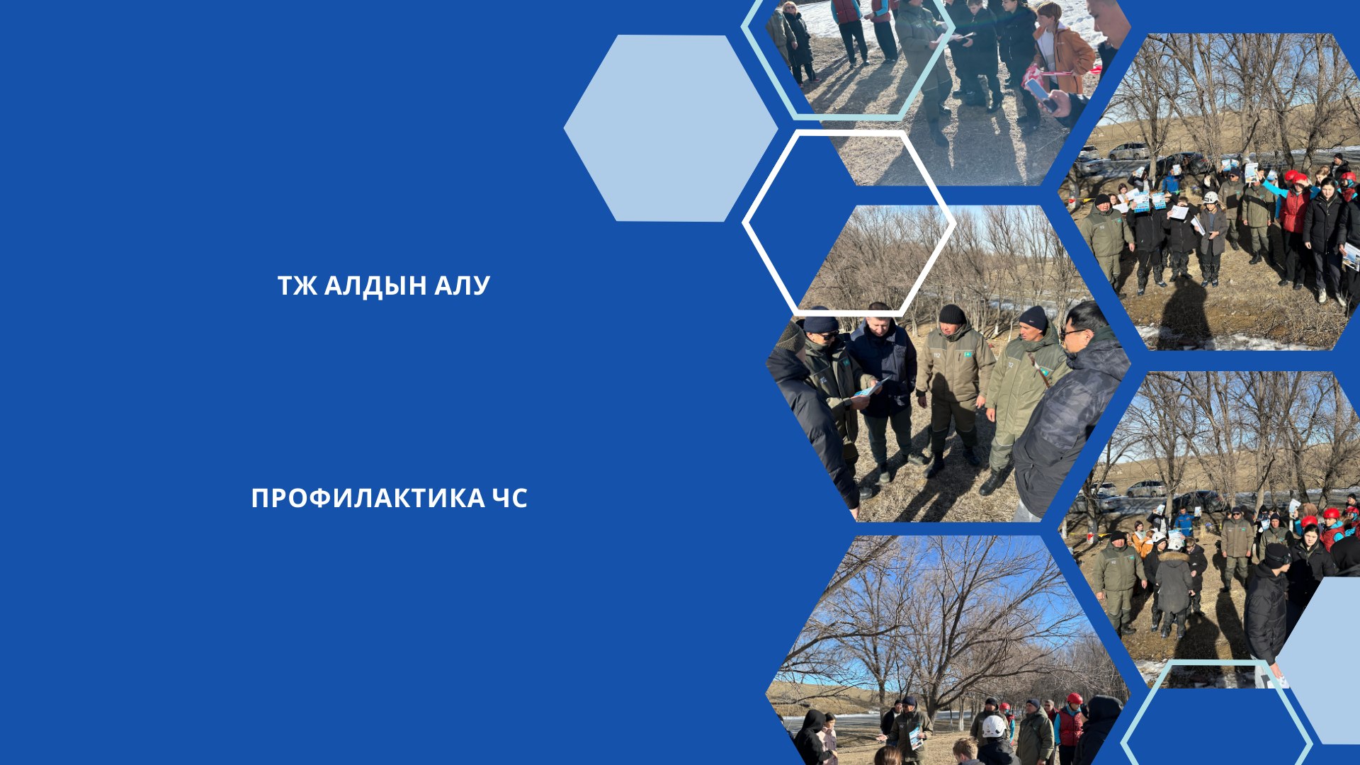 ТЖ алдын алу