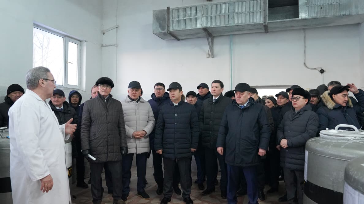 Асыл тұқымды мал шаруашылығын дамытудың өзекті мәселелері қаралды