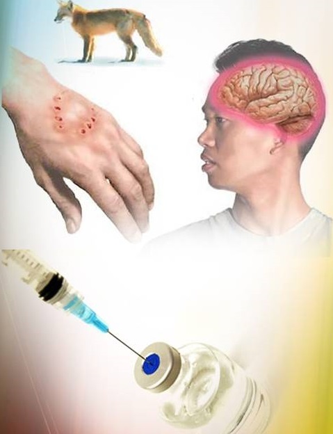 Абайлаңыз, ҚҰТЫРМА!