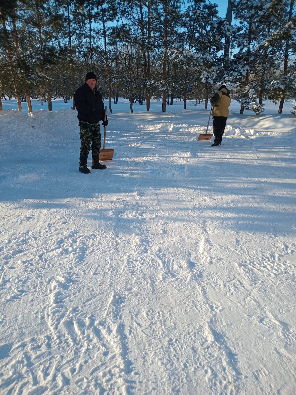 Мектеп ауласын қардан тазартамыз!