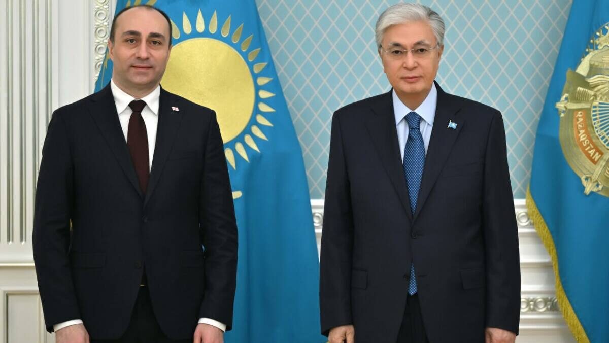 Глава государства принял министра внутренних дел Грузии Гелу Геладзе