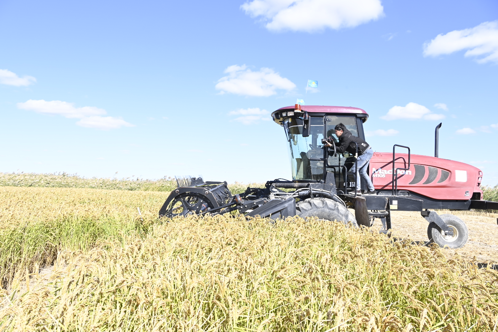Қызылордада қысқартылған күріш алқаптарының орнына суды аз қажет ететін дақылдар егу көзделуде