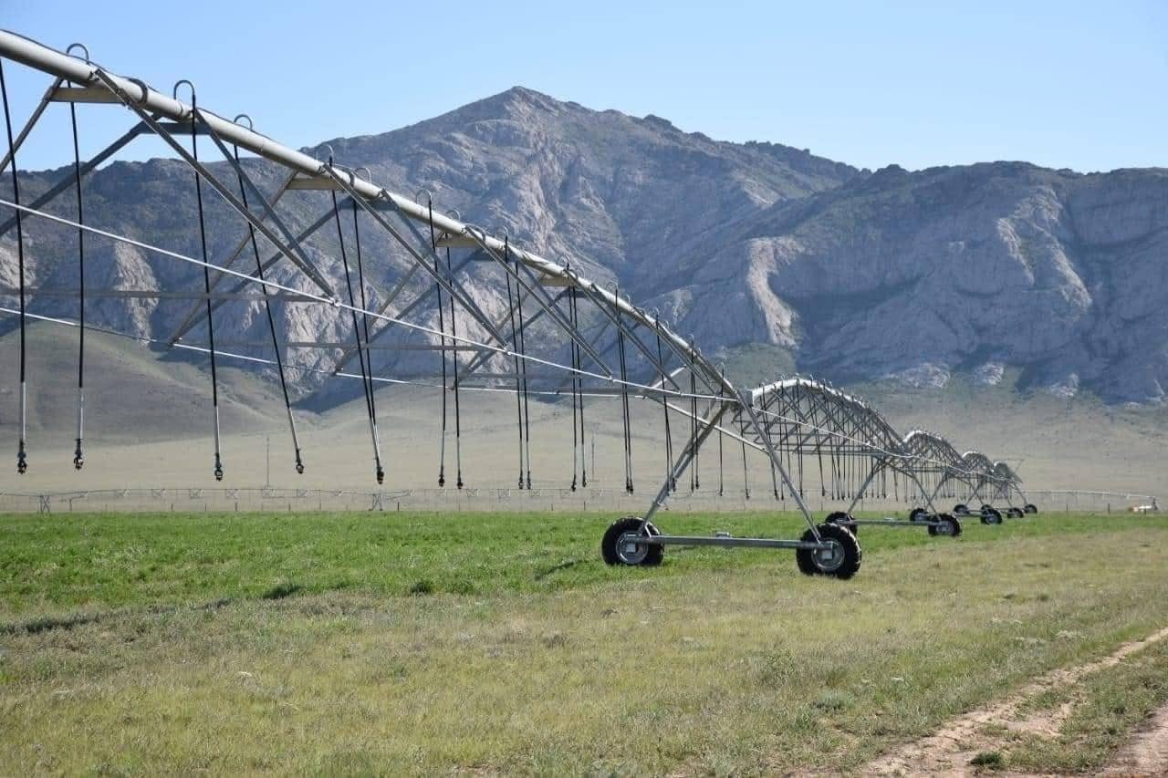 СОЗАҚ АУДАНЫНЫҢ ЖАЛПЫ ӨҢІРЛІК ӨНІМ КӨЛЕМІ 1 ТРЛН ТЕҢГЕДЕН АСҚАН