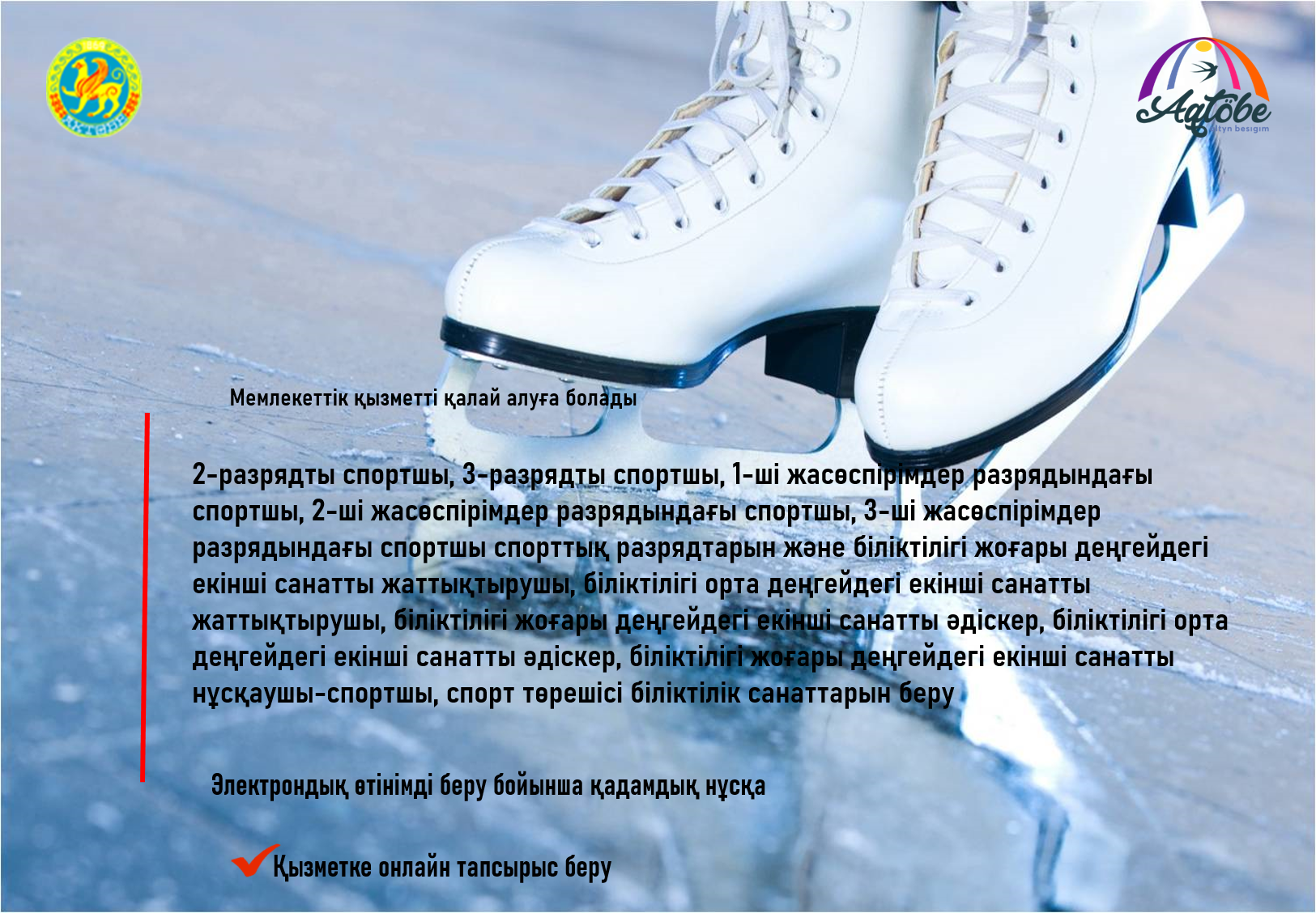 Спорт саласында біліктілік санаттарын алу үшін қалай онлайн түрде өтініш беруге болады