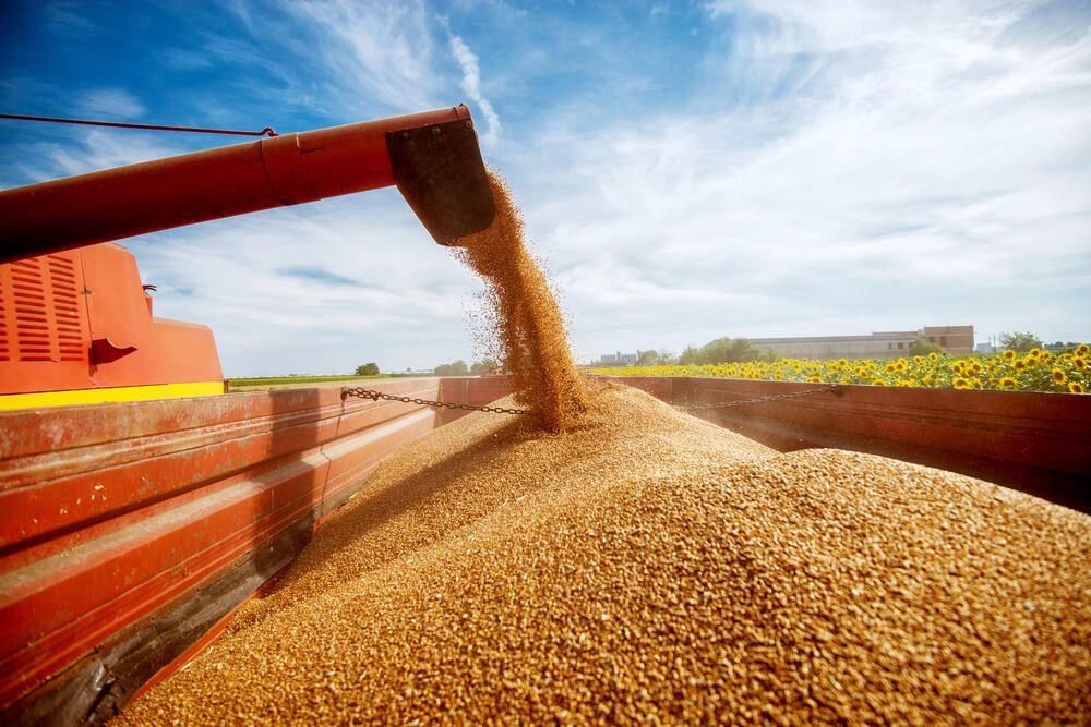 Диверсификация посевов: Олжас Бектенов поручил расширять производство высокорентабельных культур для наращивания экспорта