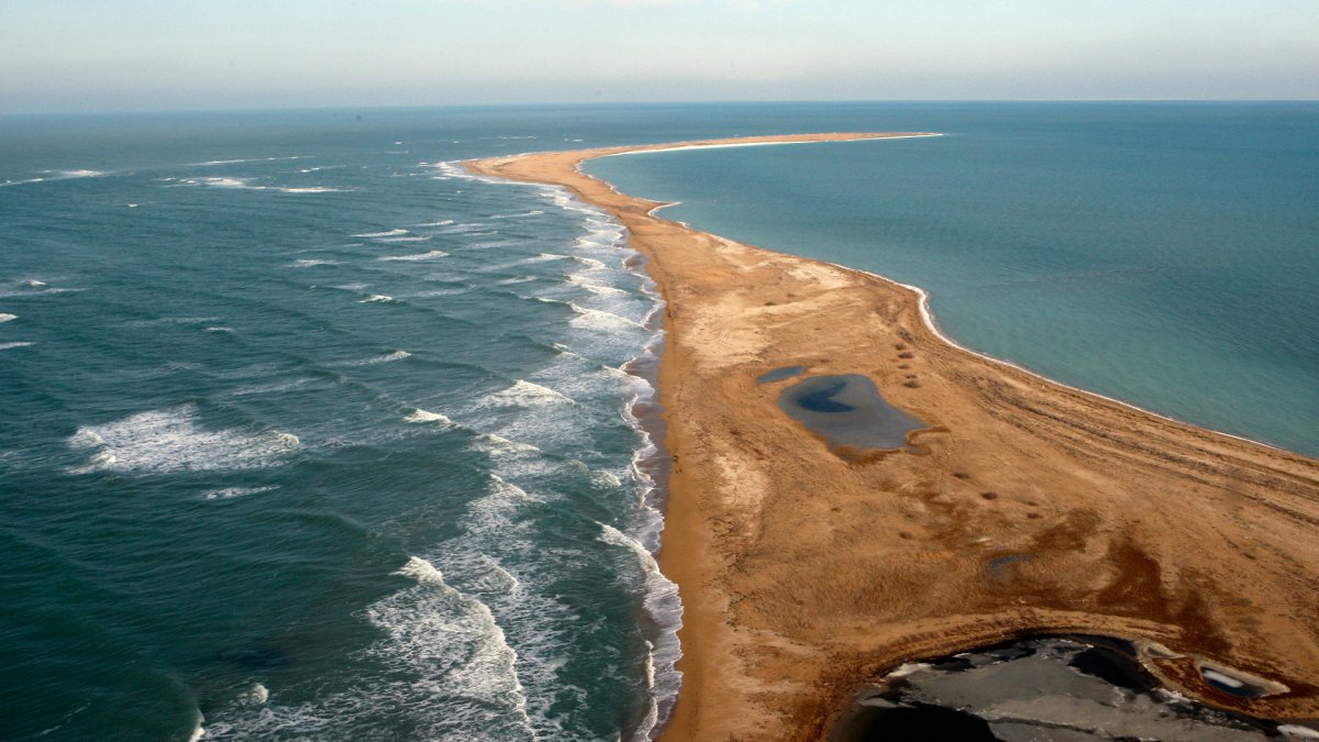 1,1 млрд тенге выделило Правительство на изучение и сохранение Каспия