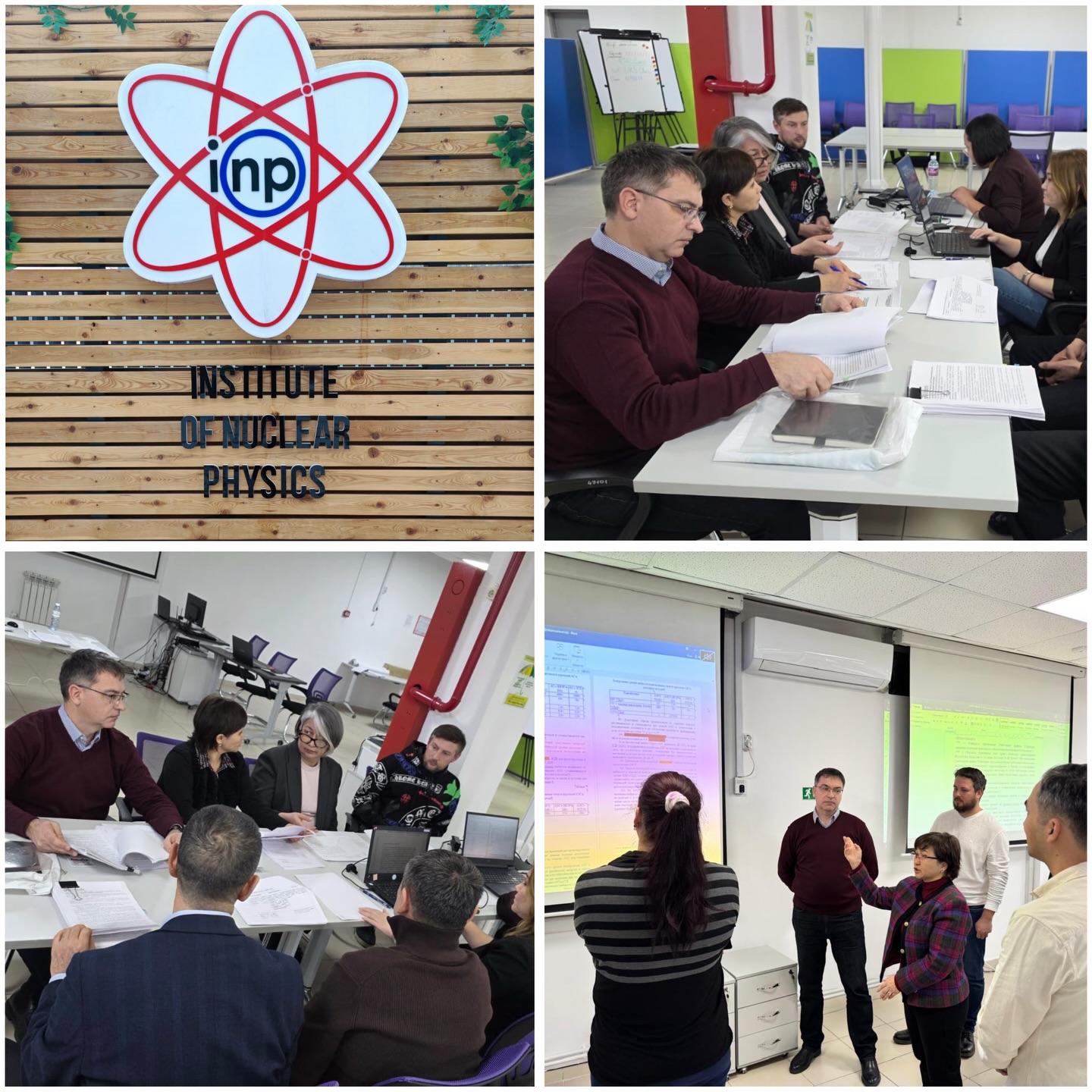 Атом саласын дамыту мәселелері бойынша нормативтік құқықтық актілерді қайта қарау