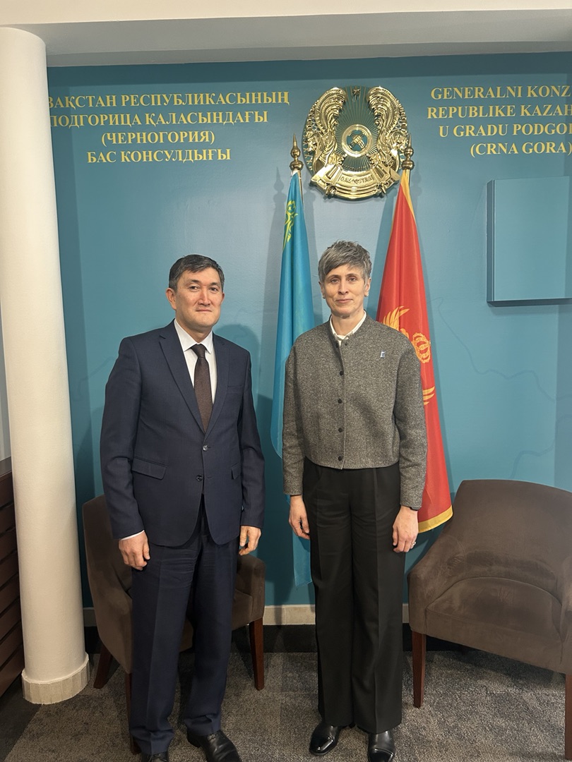 Қазақстанның Черногориядағы Бас консулы БҰҰ Даму бағдарламасының Тұрақты өкілімен кездесті