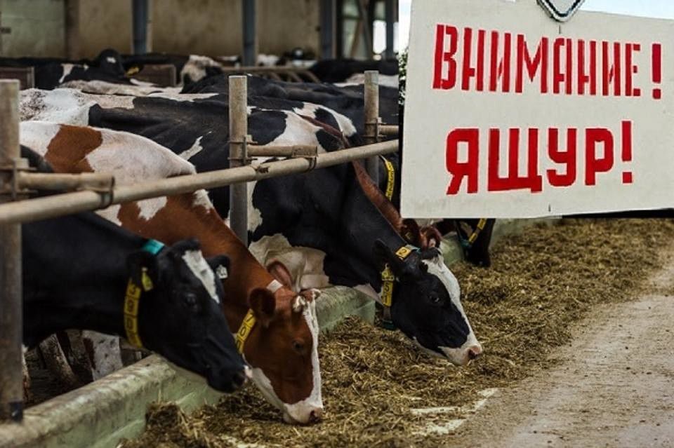 Аусылға қарсы Вакцинация!!!!!!