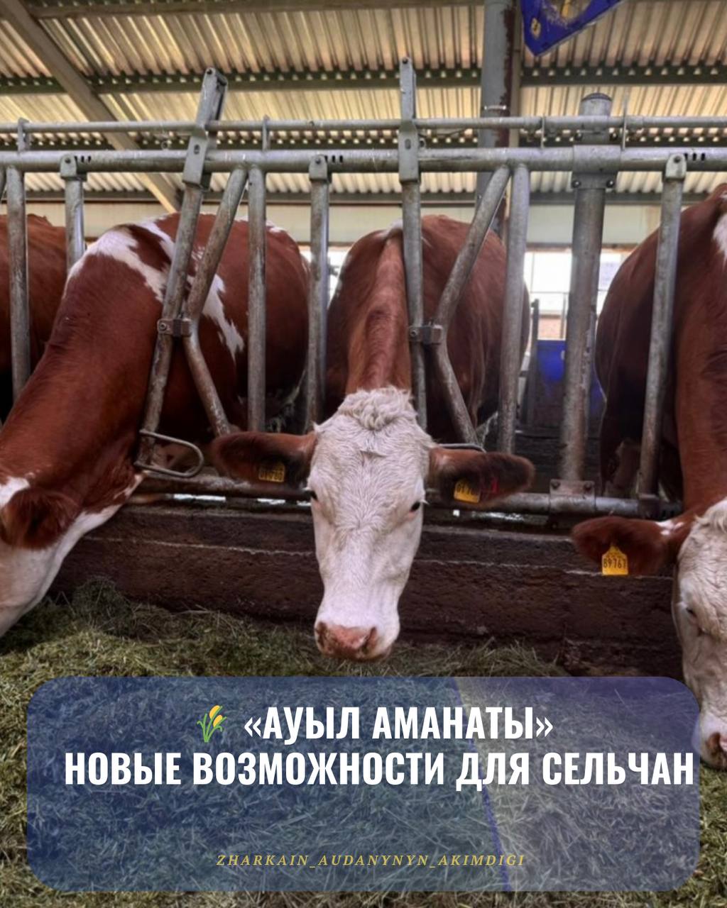 Программа "Ауыл Аманаты"