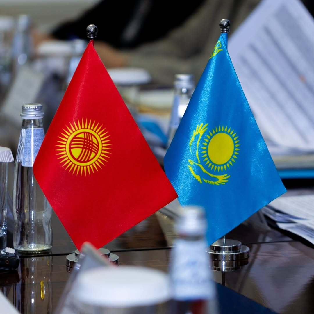 Қырғыз Республикасының Қазақстан Республикасындағы Төтенше және Өкілетті Елшісі кездесу өтті