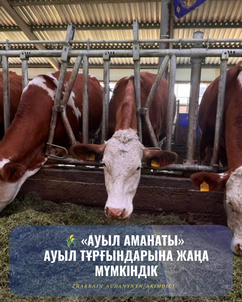 "Ауыл Аманаты" бағдарламасы