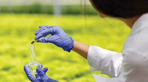 Өнім сапасын қамтамасыз етудегі фитосанитарлық сараптаманың рөлі