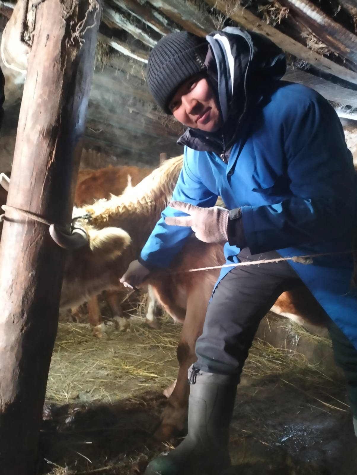 Ағымдағы жылдың көктемгі кезеңіне арналған ветеринариялық іс-шаралар жоспарына сәйкес, Ертіс ауылдық округінде мал басын профилактикалық өңдеу жұмыстары жүруде.