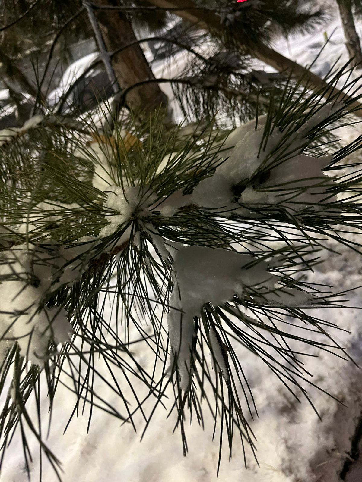 Қалың қарға байланысты коммуналдық қызметтер тәулік бойы жұмыс істеуде