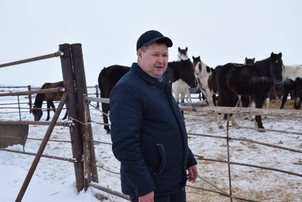 Сандықтау ауданындағы «Агро LAKE» ЖШС-де мал шаруашылығы дамып келеді