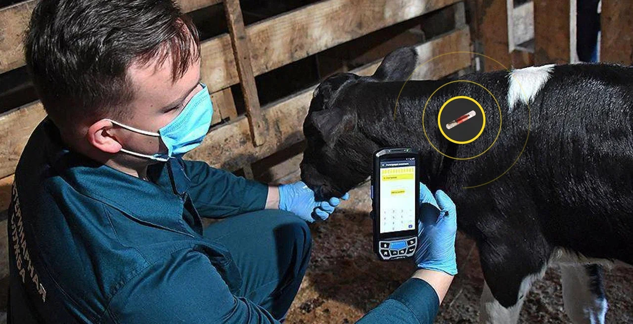 Ауыл шаруашылығы жануарларын микрочиптеу арқылы электрондық бірдейлендіру!