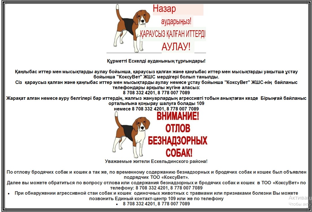 ҚАРАУСЫЗ ҚАЛҒАН ЖӘНЕ ҚАҢҒЫБАС ИТ-МЫСЫҚТАРДЫ АУЛАУ ТУРАЛЫ ХАБАРЛАНДЫРУ!