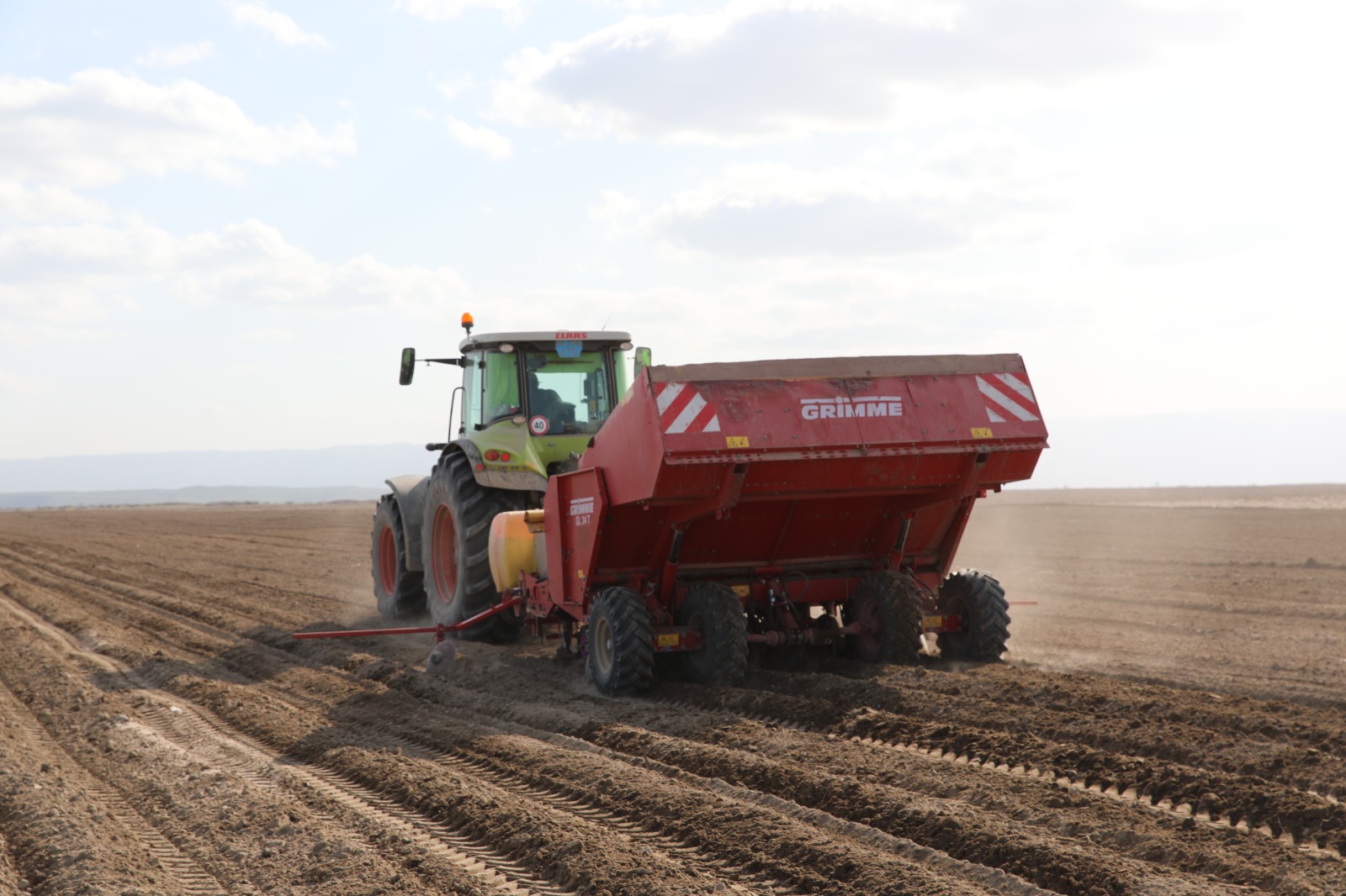 Жамбыл облысында биыл 623,3 мың гектарға ауыл шаруашылығы дақылдары егіледі