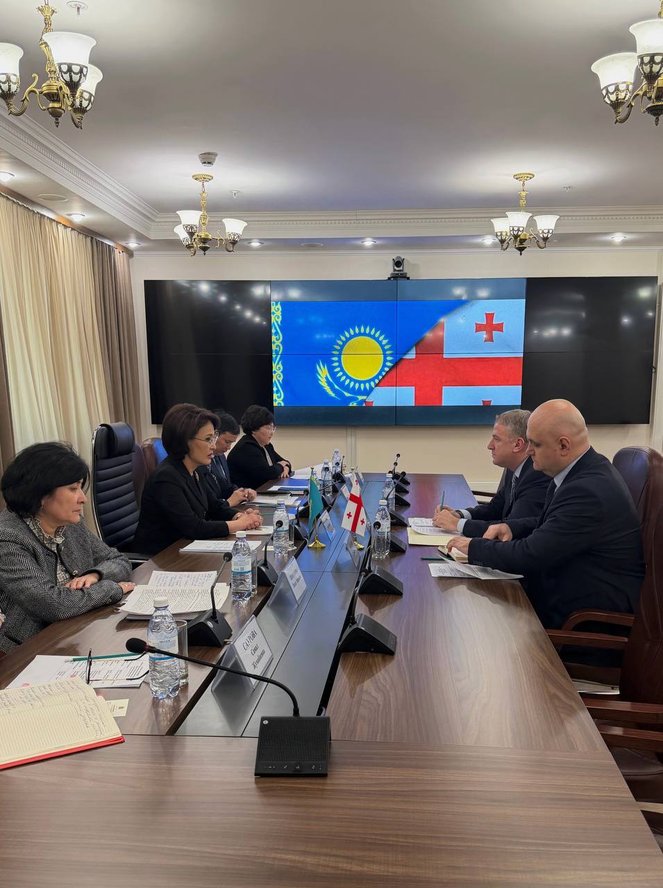 Қазақстан мен Грузия денсаулық сақтау саласындағы ынтымақтастықты нығайтуда