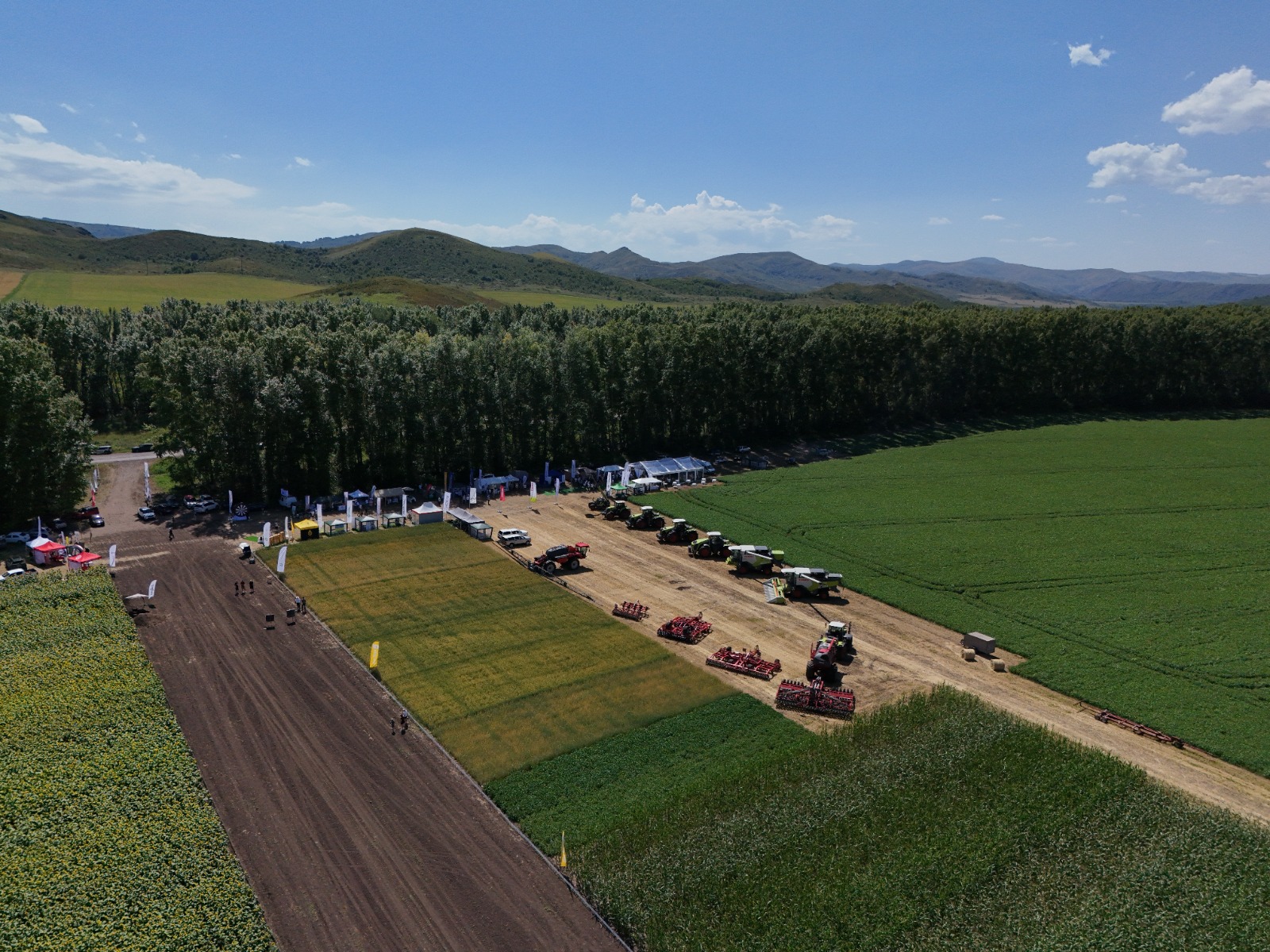 ШҚО-дағы агроинвестициялар: азық-түлік қауіпсіздігі, АӨК әлеуеті, ауылдардың әл-ауқаты